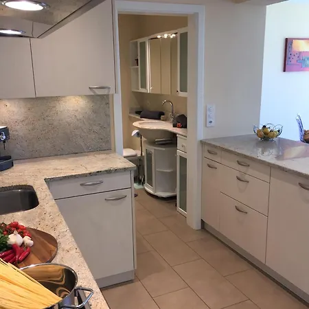 Monte Fiorito By Fewotessin Apartamento Orselina